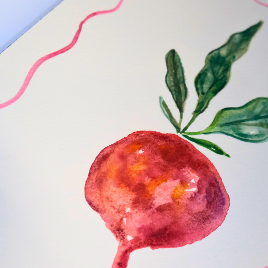 Radish Watercolor 7x10